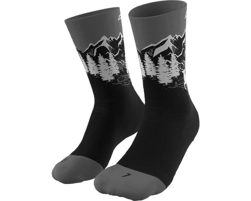 Dynafit STAY FAST SK - DynaFit Outdoorschuh von Dynafit