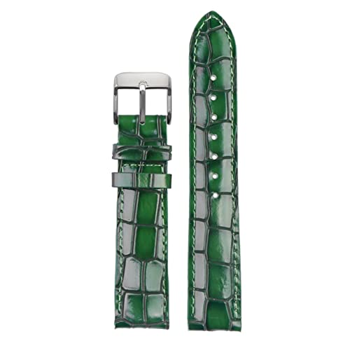 EAMOM Mode echtes Leder -Uhrband Clear Persönlichkeit Krokodiltextur Armband Armband Watch Band 18mm 20mm 22 mm Blau(Green,18mm gold clasp) von EAMOM