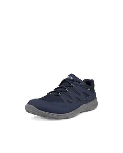ECCO Herren Terracruise LT M Low GTX Outdoor Shoe, Night Sky/Night Sky, 41 EU von ECCO