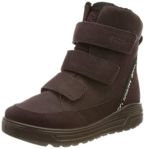 Ecco Urban Snowboarder Fashion Boot, Fig/fig/fig, 33 EU von ECCO