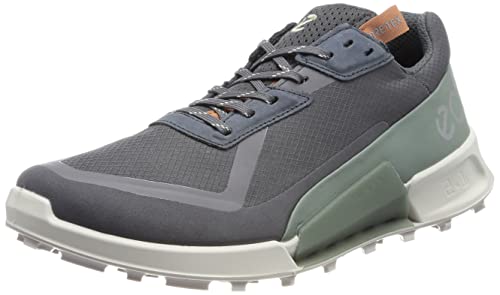 Ecco Herren Biom 2.1 X CTRY M Low GTX Running Shoe, Magnet/Frosty Green, 44 EU von ECCO