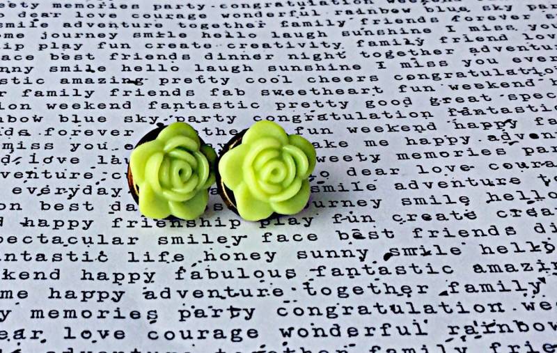 Blume Ohrstecker Limette Chirurgenstahl Stifte von ECStudioCreations