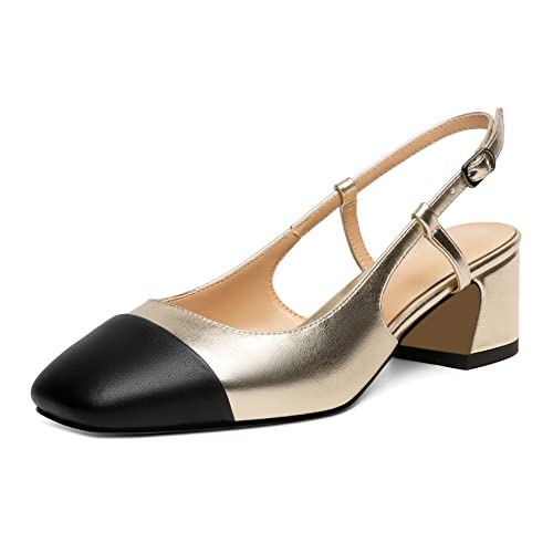 EDEFS Pumps Damen Chunkyrayan Slingback Schnalle Eckige Zehenkappe 5CM Hochzeit Büro Schuhe Schwarz-Gold EU40 von EDEFS