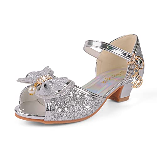 Mädchen Tanzschuhe Glitzer Shinning Abendschuhe Bowknot Low Heels 2Silber Größe 26 CN(25 EU) Kleine Mädchen Mary Jane Schuhe Dress Up Prinzessin Schuhe Geburtstag Hochzeit von EDOSIR