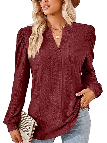 EDOTON Damen Tshirt Langarmshirts V Ausschnitt Bluse Langarm Tops Herbst Winter Casual Solide Tunika Damen (S,Z Langarm weinrot) von EDOTON
