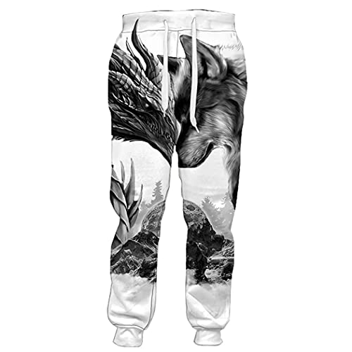 Animal Wolf Dragon 3D Print Pants Herren Damen Jogginghose Harajuku Streetwear Sweatpants, Hose 1, 27-32 von EDSNHG
