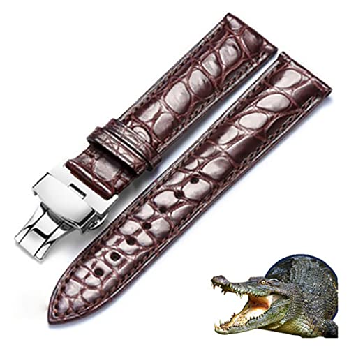 EDVENA Echte Alligator Watch Strap echtes Leder Watch-Bands kompatibel mit Männern oder Frauen ansehen Zubehör 12-24mm (Color : Brown, Size : 12mm) von EDVENA