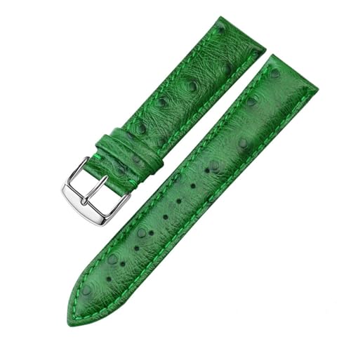 Straußmuster Echtes Lederband 12 13 14 15 16 17 18 19 20 21 22 24mm rotes grünes Armband kompatibel mit Tissot DW. Mido Ck Watch-Kette (Color : Blue Pink, Size : 13mm) von EDVENA