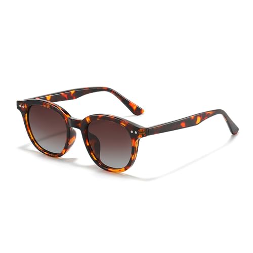 EJDHA Schlichte klassische Sonnenbrille, unisex, geeignet für den Außenbereich, UV-Schutz (Leopardenmuster/Braun) von EJDHA