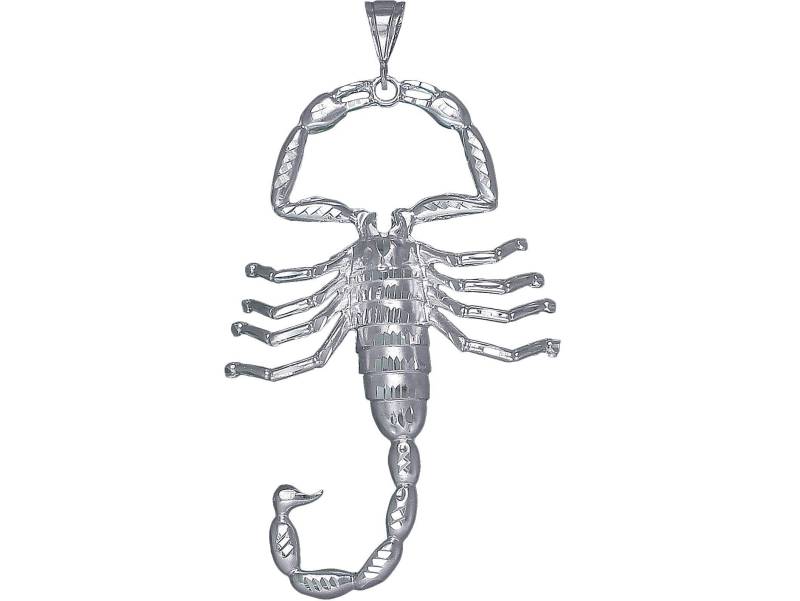 Große Schwere Sterling Silber Skorpion Charmehalskette 4, 57 Zoll 32 Gramm Mit Schnitt Diamant-Finish Und 24-Zoll-Figaro-Kette von EJewelryPlus