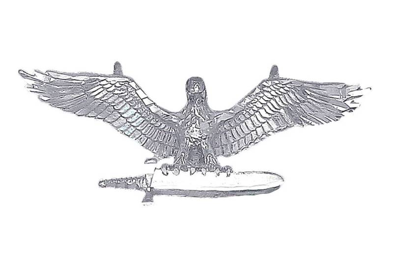 sterling Silber Adler Anhänger Mit Schwert Kette 1, 9 Zoll 6, 3 Gramm Schnitt Diamant-Finish Und 24-Zoll-Figaro-Kette von EJewelryPlus