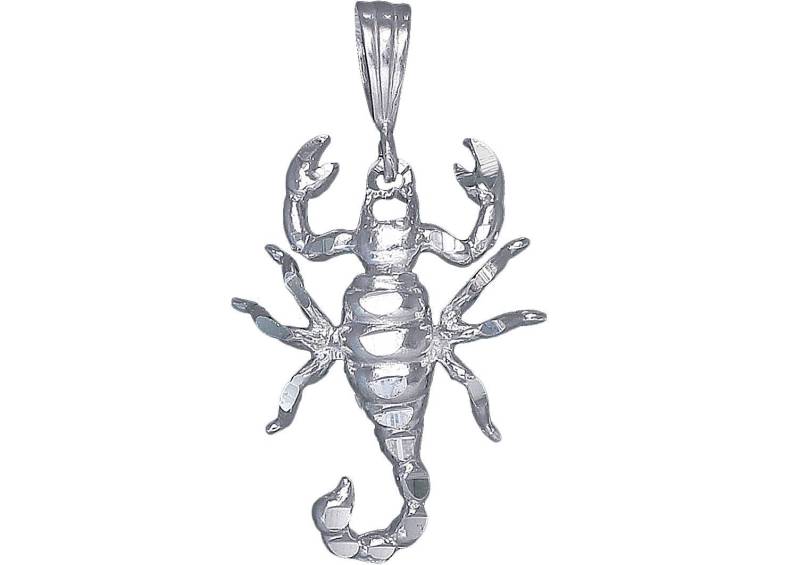 sterling Silber Skorpion Charmehalskette 1, 5 Zoll 5, 5 Gramm Mit Schnitt Diamant-Finish Und 24-Zoll-Figaro-Kette sterling Silber Skorpion Charmehalskette 1, 5 Zoll 5, 5 Gramm Mit Schnitt Diamant-Finish Und 24-Zoll-Figaro-Kette von EJewelryPlus