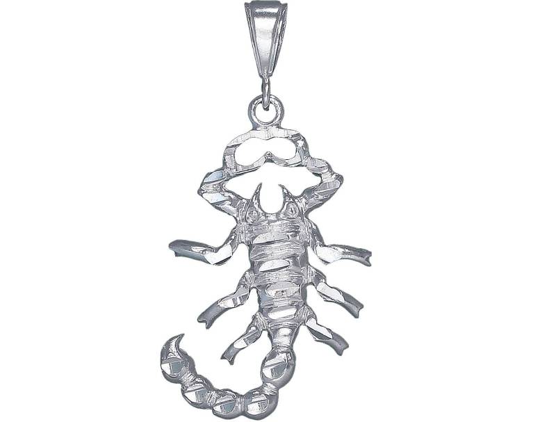 sterling Silber Skorpion Charmehalskette 2, 2 Zoll 7 Gramm Mit Schnitt Diamant-Finish Und 24-Zoll-Figaro-Kette sterling Silber Skorpion Charmehalskette 2, 2 Zoll 7 Gramm Mit Schnitt Diamant-Finish Und 24-Zoll-Figaro-Kette von EJewelryPlus