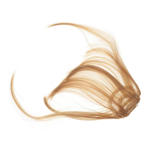 ELAYARD 2 Stück Teiliges Fake Front Bang Haarteil Clip in Natürlicher Look Unsichtbare Haarspitzen Vielseitig für Damen Geeignet für Gesichtsformen und Anlässe Modischer Haarfransen Style ELAYARD 2 Stück Teiliges Fake Front Bang Haarteil Clip in Natürlicher Look Unsichtbare Haarspitzen Vielseitig für Damen Geeignet für Gesichtsformen und Anlässe Modischer Haarfransen Style von ELAYARD