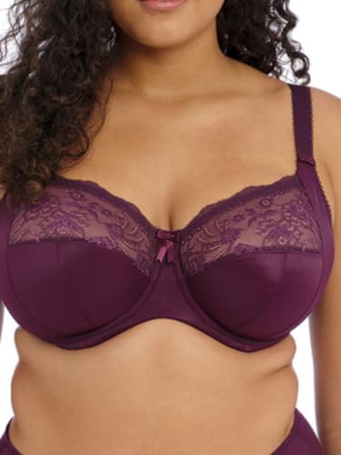 ELOMI Damen Balconette, Brombe, 40GG ELOMI Damen Balconette, Brombe, 40GG von ELOMI