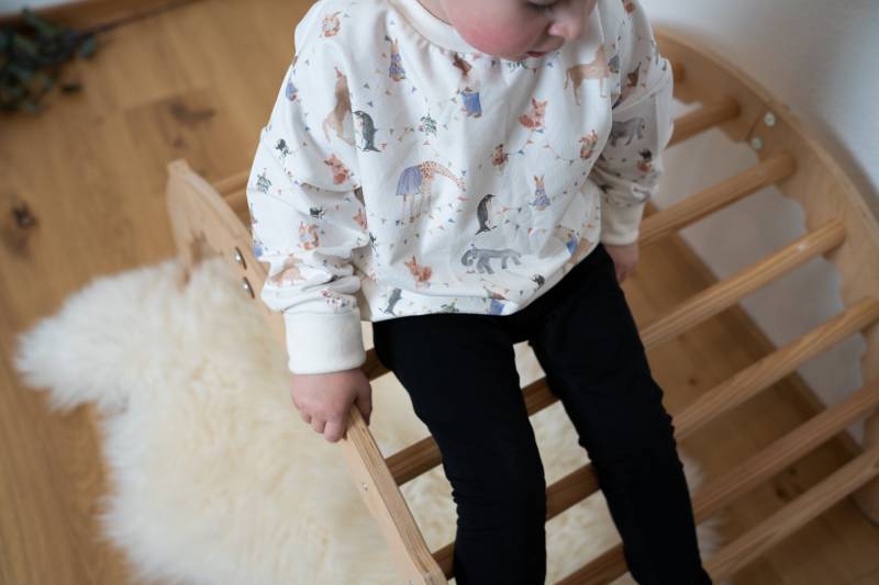 Sweatshirt Tierparty Kinder Baby Mitwachsend Pullover Basic Größenwahl Personalisiert von EMSArtFactory