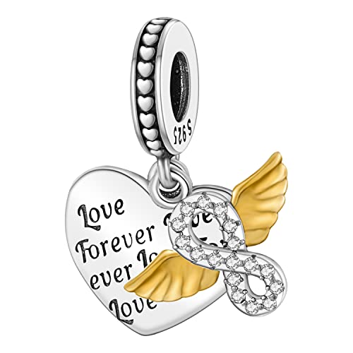 ENZEBAOFU 925 Sterling Silber Charms für Armbänder und Halsketten Lippenstift und Tasche Dangle Anhänger Turm Kamera Perlen Charms Schmuck Geschenk für Frauen Mädchen, Love Forever Charm, von ENZEBAOFU