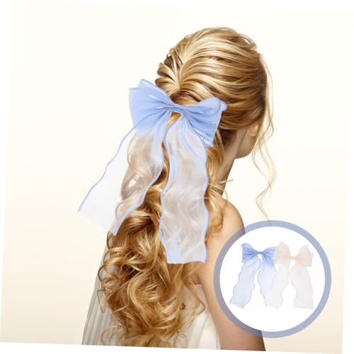 EPIGEIST 2 Stck Haarklammern mit Schleifen Dekorative Haarklammern für Frauen und Mädchen Rutschfeste Haarspangen in Champagner und Blau Sichere Federclips für Langanhaltenden Griff von EPIGEIST
