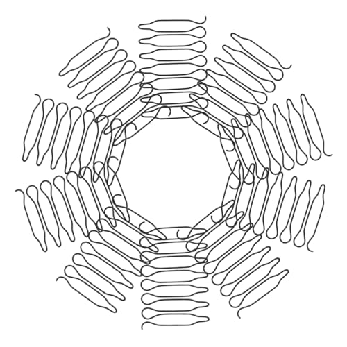 EPIGEIST 40 Stück Teiliges Wellenkamm Haarklammer U-form Haarfixierer Mini Haarnadeln für Frauen Mädchen Kompakt Langlebig für Reisen und Präzises Haarstyling von EPIGEIST