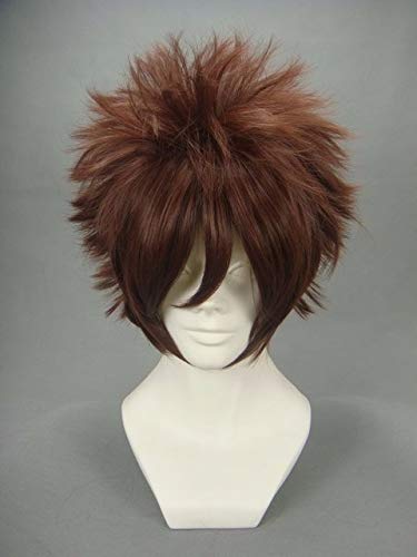 Anime Digital Monster Digimon Abenteuer Cosplay YAGAMI TAICHI Perücke Haar Synthetische Kostüm Perücken + Perücke Kappe als das Bild von EQWR
