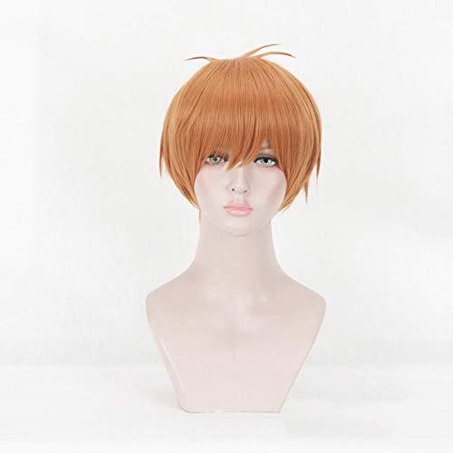 Anime Obstkorb Soma Souma Kyo Kurze Perücke Cosplay Kostüm Hitzebeständiges Kunsthaar Männer Party Cosplay Perücken MZ-1394 von EQWR