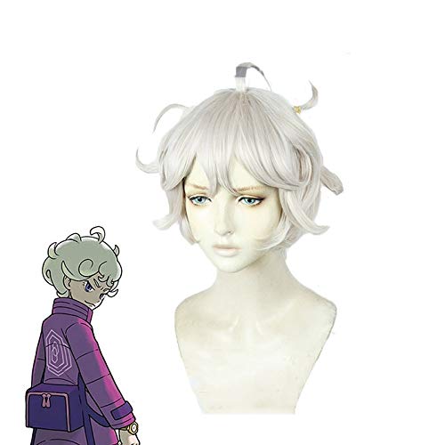 Anime Spiel Schwert/Schild Bede Cosplay Perücke Hochtemperatur Faser Kurzwelliges Haar Kostüm Spiel Perücken + Free Hair Cap von EQWR