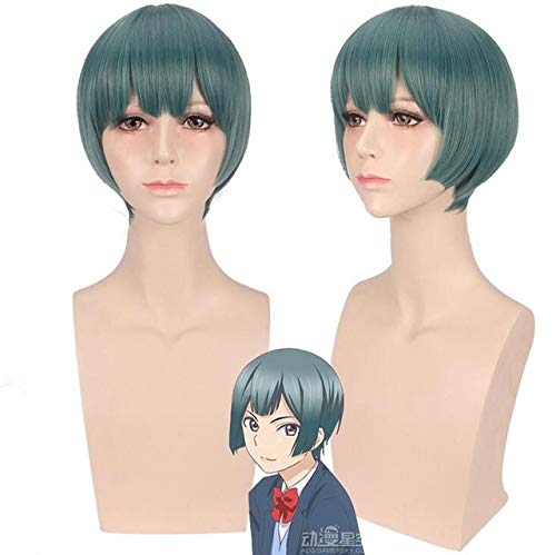 Anime Watashi ga Motete Dousunda Cosplay Perücke Synthetisches Haar für Jungen Männer Küss ihn nicht mich Halloween Cosplay kurze Perücken + Perückenkappe Einheitsgröße PL-710 Perücke von EQWR