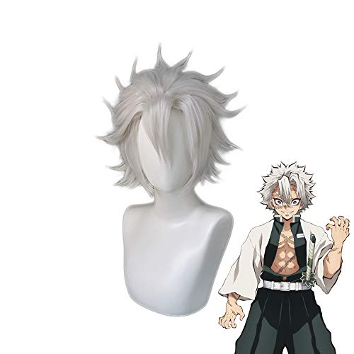 Dämonentöter Kimetsu no Yaiba Shinazugawa Sanemi Kurze Perücke Cosplay Kostüm Hitzebeständiges Kunsthaar Männer Halloween Perücken MZ-411 von EQWR