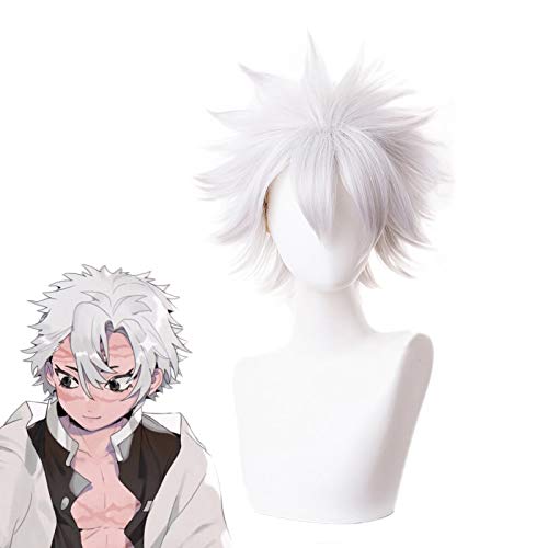 Dämonentöter Kimetsu no Yaiba Shinazugawa Sanemi Perücke Cosplay Kostüm Hitzebeständiges Kunsthaar Männer Frauen Cosplay Perücken von EQWR