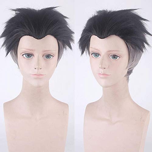 Dämonentöter: Kimetsu no Yaiba Himejima Kyoumei Cosplay Perücke Synthetisches Haar Halloween Cosplay Perücken + Perücke Cap Dämonentöter Perücke Nr. 607 von EQWR