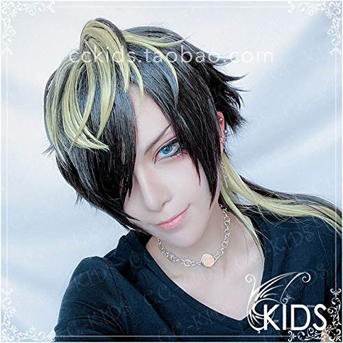 Division Rap Schlacht DRB Sasara Nurude Tsutsujimori Rosho Harai Kuko Aimono Jushi Amaguni Hitoya Perücken Kunsthaar Cosplay Perücken CHINA Aimono Jushi von EQWR