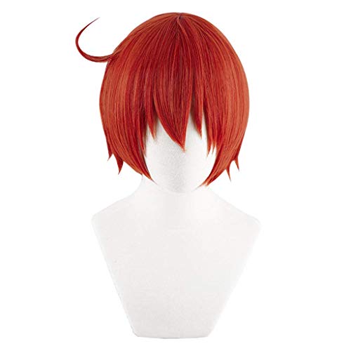 EQWR Haarteile Anime Cosplay Rose Net Perücken mit Pony 100% Hochtemperaturbeständige Faser Orange Rot Kurze Glatte Haare 12 zoll von EQWR