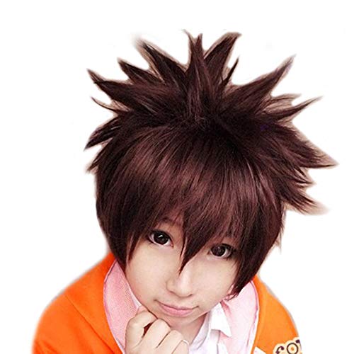 Hitman wiedergeboren! Sawada Tsunayoshi Cosplay Perücken Kurze e rote Mischung Flauschiges synthetisches Haar Rollenspiel Perücke + Perückenkappe FQ0050 von EQWR