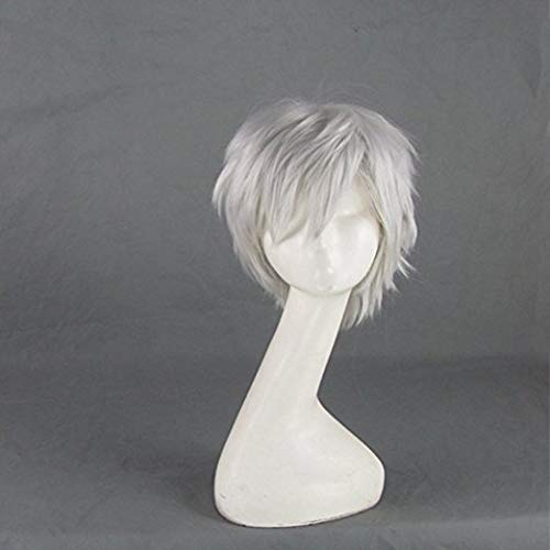 Jack Frost Aufstieg der Wächter Silbergrau Kurze Cosplay Perücke als Bild von EQWR