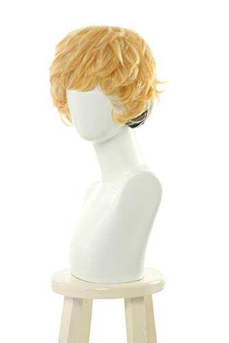 Kyou Kara Ore Wa !! Cosplay Perücke Hayakawa Kyoko Akasaka Riko Ito Shinji Haar + Free Perücke Cap 2 von EQWR