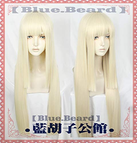 NEUE ANKUNFT 80cm Spiel FGO Fate Grand Order Cosplay Perücken Sima Yi Reines Cosplay Hitzebeständige synthetische Perücke Haar Halloween Party von EQWR