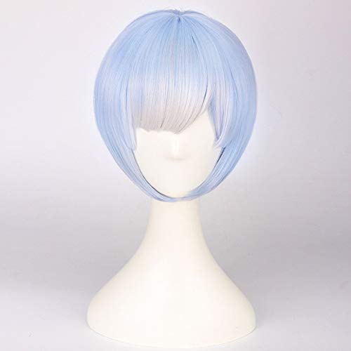 Re: Null Start Leben in einer anderen Welt Rem Ram Hitzebeständige synthetische Haare Kopfbedeckung Cosplay Prop Halloween + Free Perücke Cap Rem Perücke NUR von EQWR
