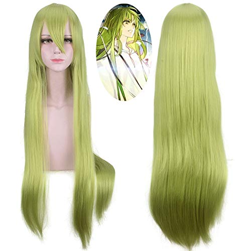 Schicksal Grand Order Lancer Enkidu lange Perücke Cosplay Kostüm Schicksal extra hitzebeständiges Kunsthaar Männer Frauen Frauen Cosplay Perücken 099-41 von EQWR
