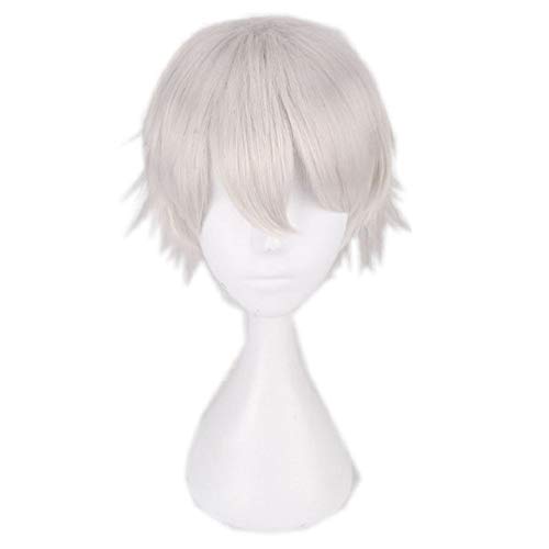 Silbergraue kurze Cosplay-Haarperücke für Männer Naturhaar 30 cm Hitzebeständige graue synthetische Haar-Cosplay-Perücken für Party-Perücke K049-02 von EQWR