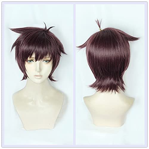 Wig for Amine Sarazanmai Cosplay Kazuki Yasaka Wig Brown Purple Short Synthetic Hair Halloween Cosplay Costume Wigs + Wig Cap von EQWR