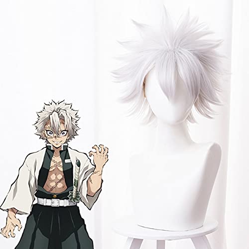 Wig for Anime Comic Cosplay Perücken Shinazugawa Sanemi Cosplay Perücke Synthetische Perücke Haare Weiß Kurze Männer Perücken von EQWR