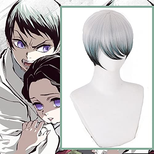 Wig for Anime Comic Cosplay Perücken Yushirou Cosplay Perücke Hitzebeständige Synthetische Perücke Farbverlauf Kurze Männer Perücken von EQWR