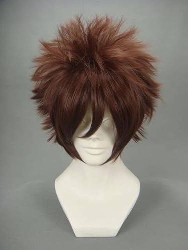 Wig for Anime Digital Monster Digimon Adventure Cosplay YAGAMI TAICHI Perücke Haar Synthetische Kostüm Perücken + Perückenkappe wie auf dem Bild von EQWR