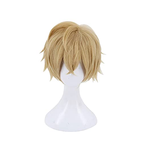 Wig for Anime Fate Grand Order Gawain Kurze Perücke Cosplay Kostüm Fate EXTRA Hitzebeständiges Kunsthaar Männer Cosplay Perücken von EQWR