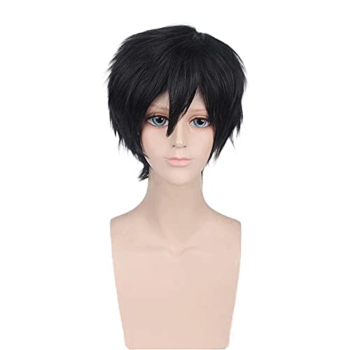 Wig for Anime Kirigaya Kazuto Schwarze kurze Perücke Cosplay Kostüm SAO Kirito Hitzebeständiges Kunsthaar Männer Frauen Perücken von EQWR