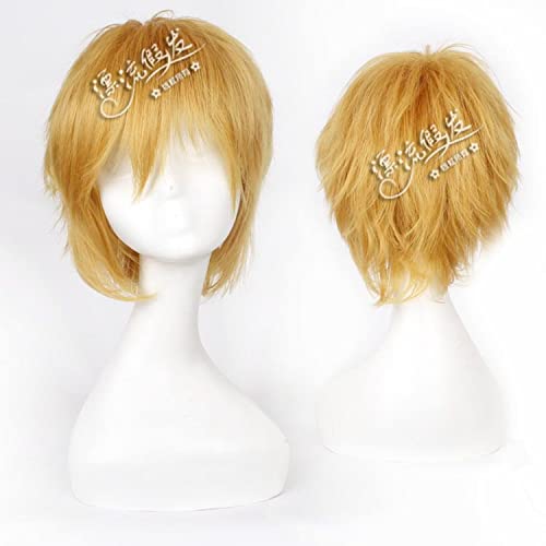 Wig for Anime Wigs Cosplay Christmas Cos Wig Juvenile Reverse Warped Short Hair Color Universal Men'S Wig Cosplay Anime Wig Color:002-34 von EQWR