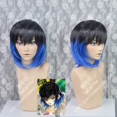 Wig for Anime: Inosuke Hashibira Haar Hitzebeständiges Kunsthaar Cosplay Kostüm Perücken + Perückenkappe Ryuoh no Oshigoto wie auf dem Bild von EQWR