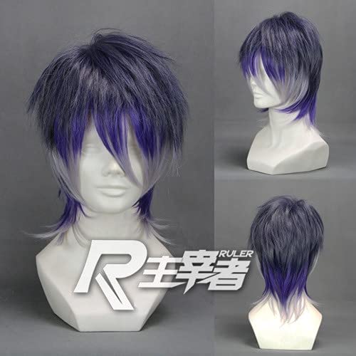 Wig for Cosplay-Perücken Diabolik Lovers Sakamaki Reiji Short Gradient Lila Kostümperücke + Perückenkappe Diabolik Lovers wie auf dem Bild von EQWR