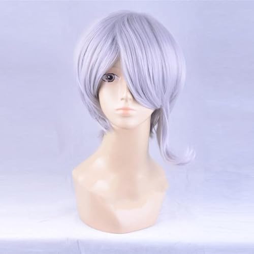 Wig for Dangan Ronpa V3 Tojo Kirumi Grau Mischfarbe Cosplay Perücken Halloween Kostüm Perücken + Gratis Perückenkappe CHINA wie auf dem Bild von EQWR