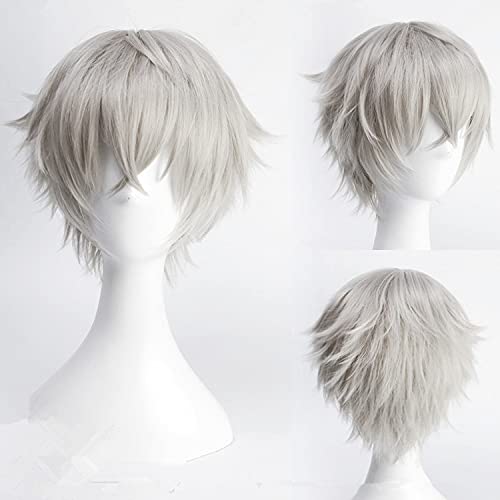 Wig for Ensemble Stars Oogami Koga 30cm Short Straight Cosplay Wigs for Man Boys Anime Costume Party Heat Resistant Synthetic Wig Grey von EQWR